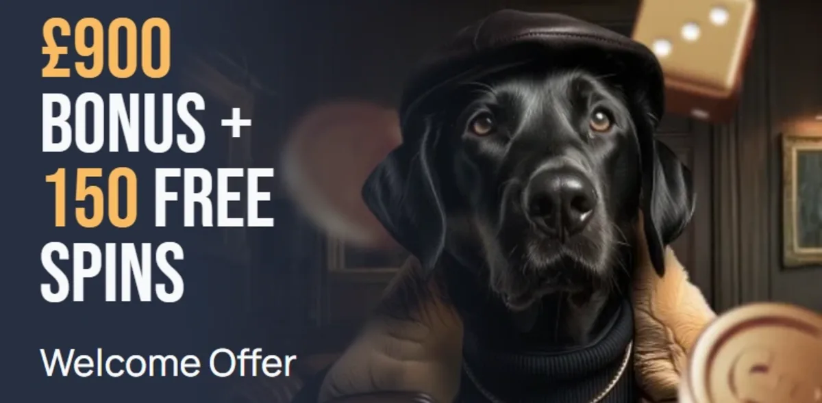 Bonus and promotions spindog casino review